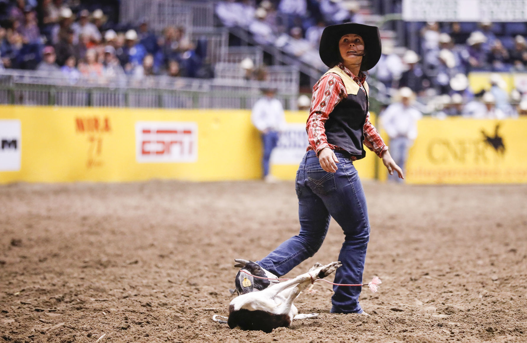CNFR - Tuesday